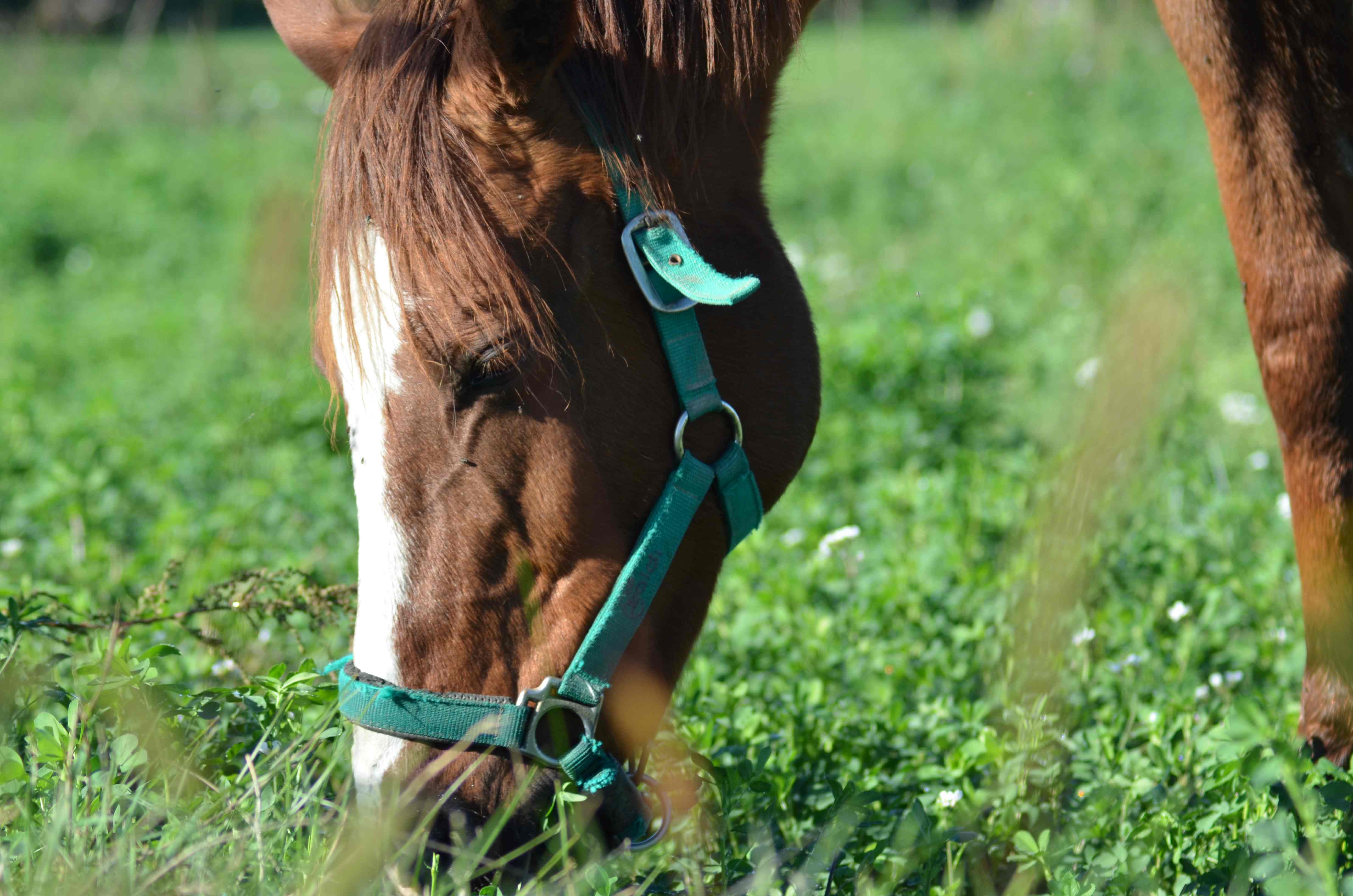No s'ha trobat l'arxiu